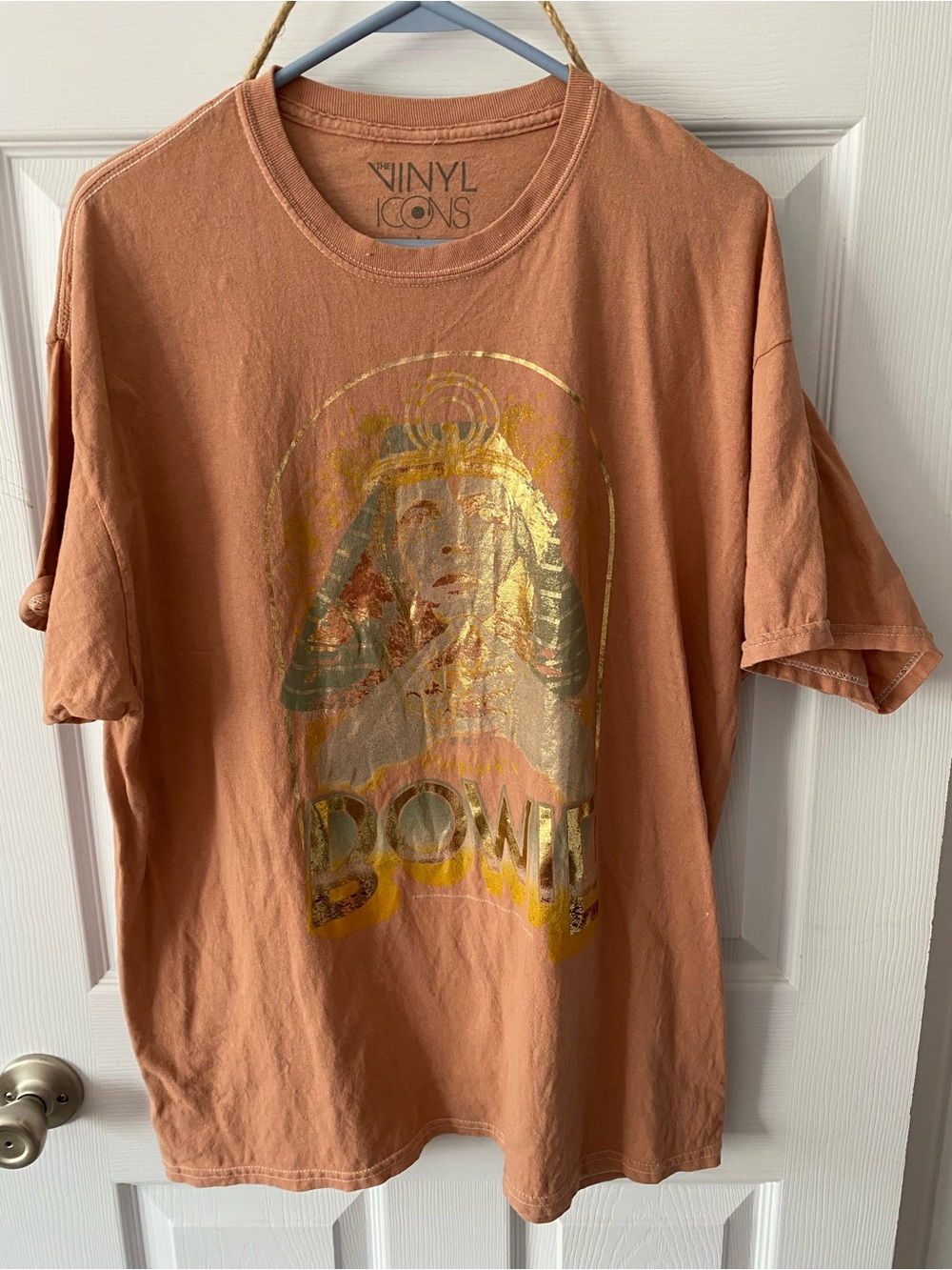 Vinyl Icons Bowie Graphic Tee - Rust